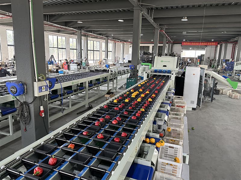 images/1678431893695pepper color grader.jpg